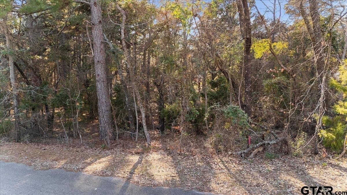 0.35 acres in Smith County - photo 10