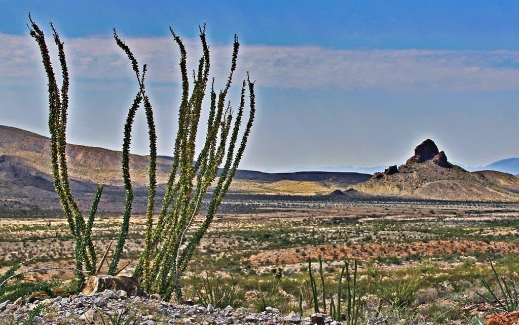 10 acres in Culberson County - photo 6