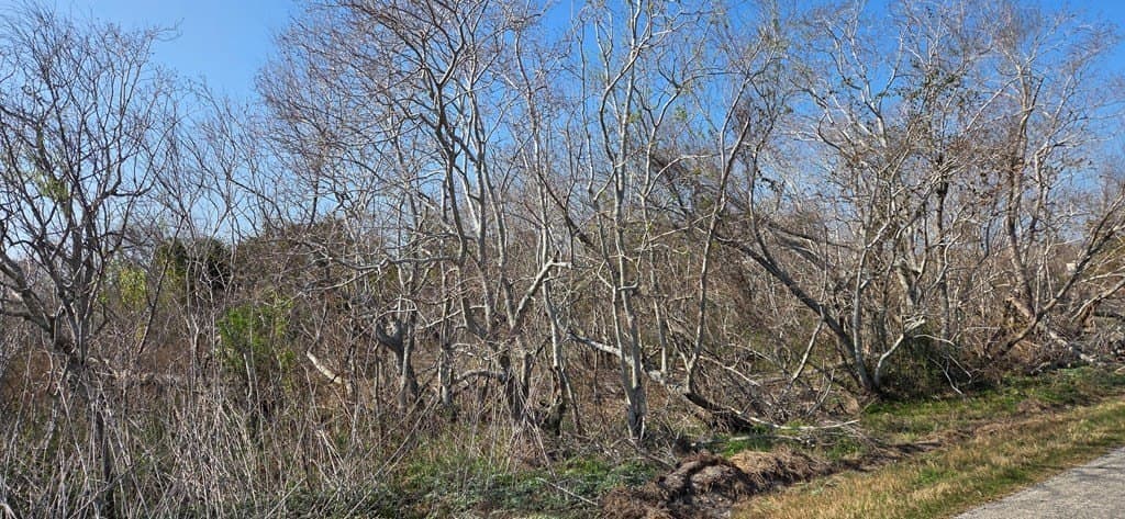 0 acres in Texas County - photo 6