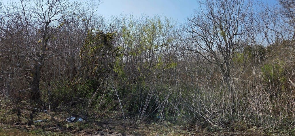 0 acres in Texas County - photo 3