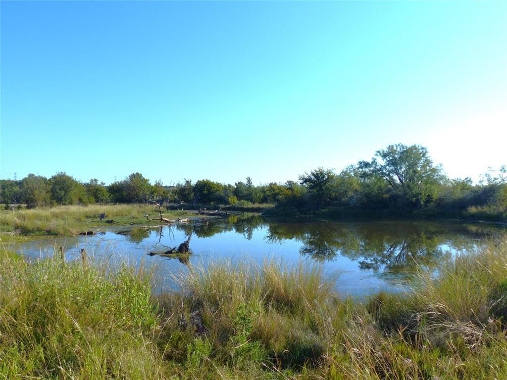 239 acres in Coleman County - photo 2