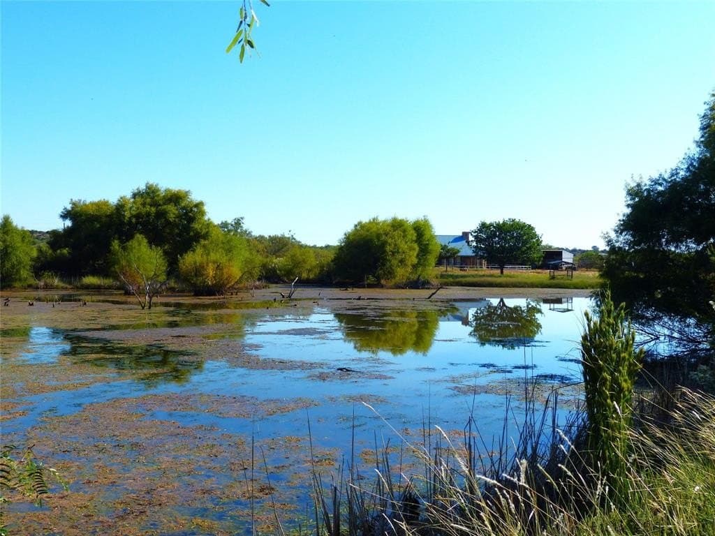 239 acres in Coleman County - photo 14