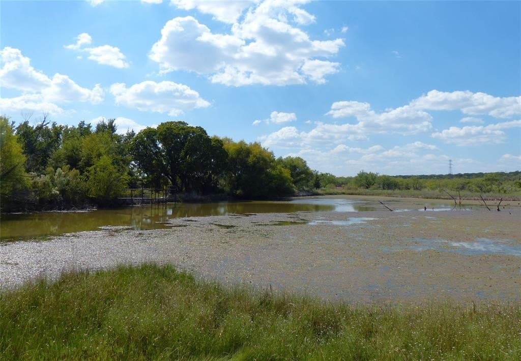 239 acres in Coleman County - photo 23