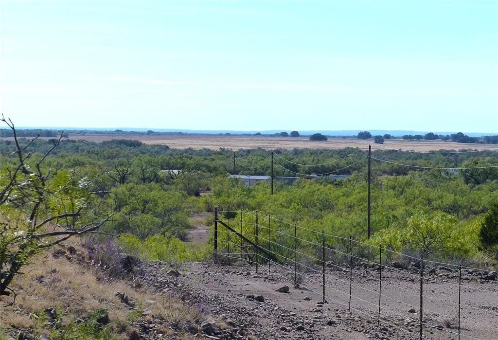 239 acres in Coleman County - photo 15