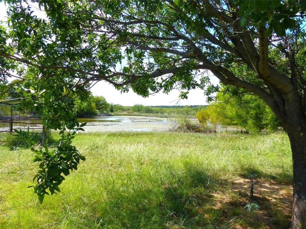 239 acres in Coleman County - photo 7