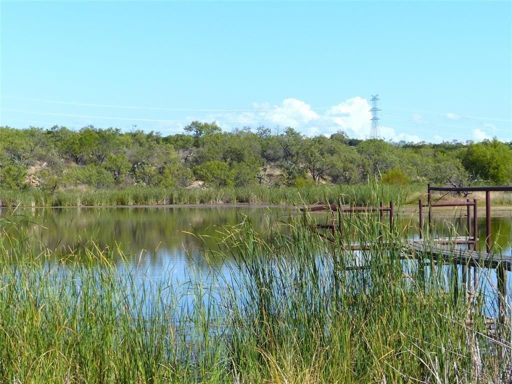 239 acres in Coleman County - photo 20
