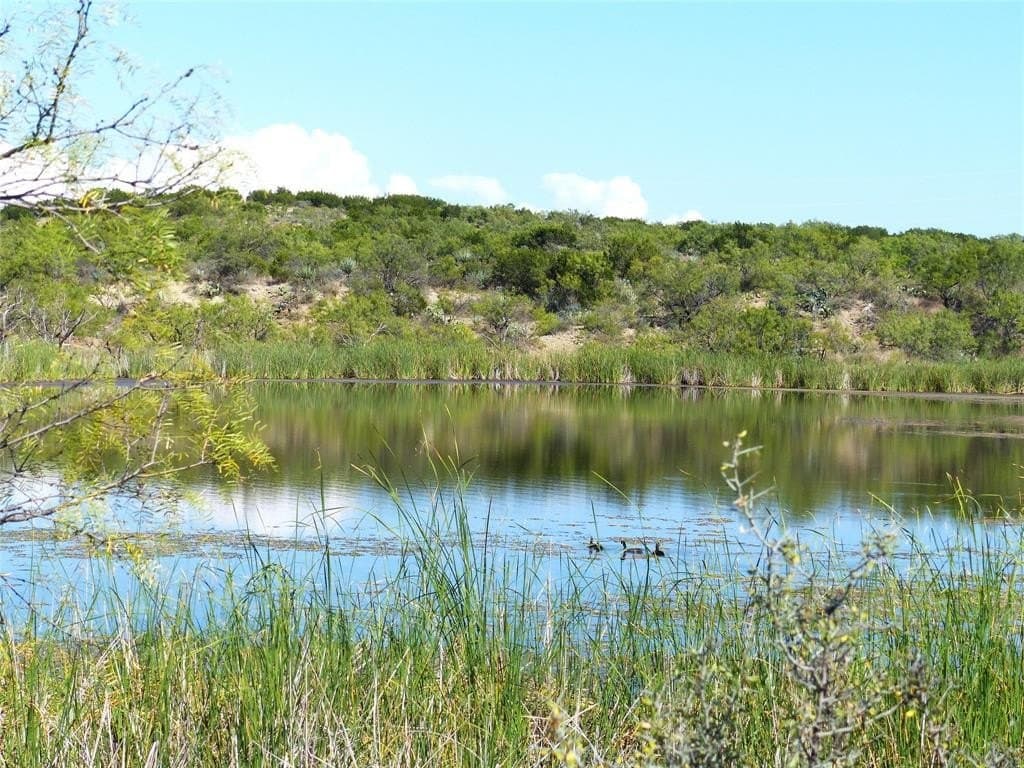 239 acres in Coleman County - photo 21