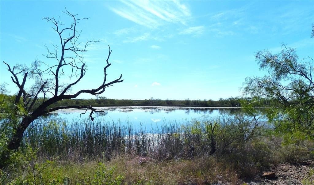 239 acres in Coleman County - photo 19
