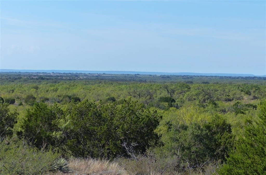 239 acres in Coleman County - photo 17