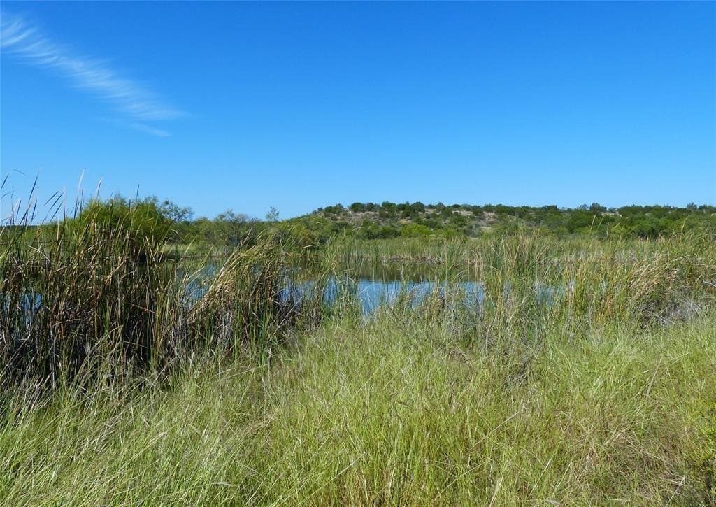 239 acres in Coleman County - photo 18