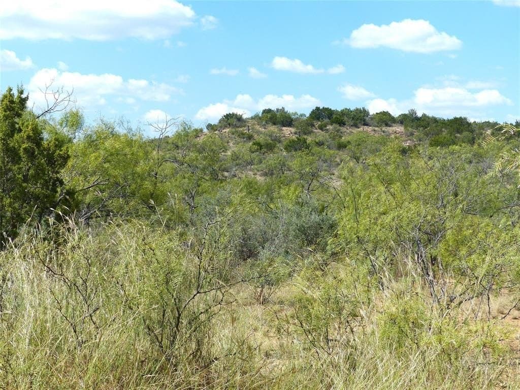 239 acres in Coleman County - photo 10