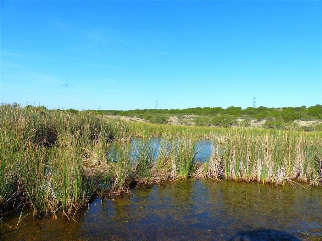 239 acres in Coleman County - photo 11