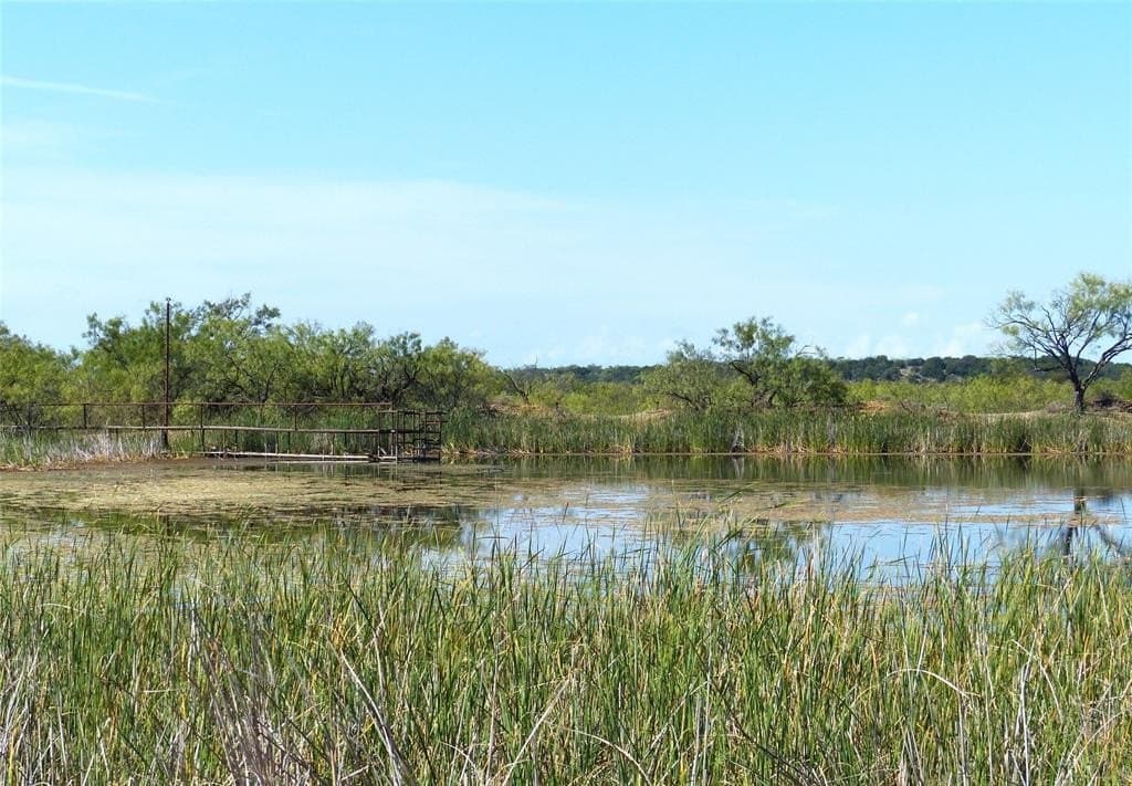 239 acres in Coleman County - photo 22