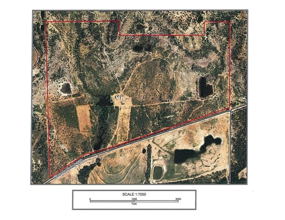 239 acres in Coleman County - photo 31