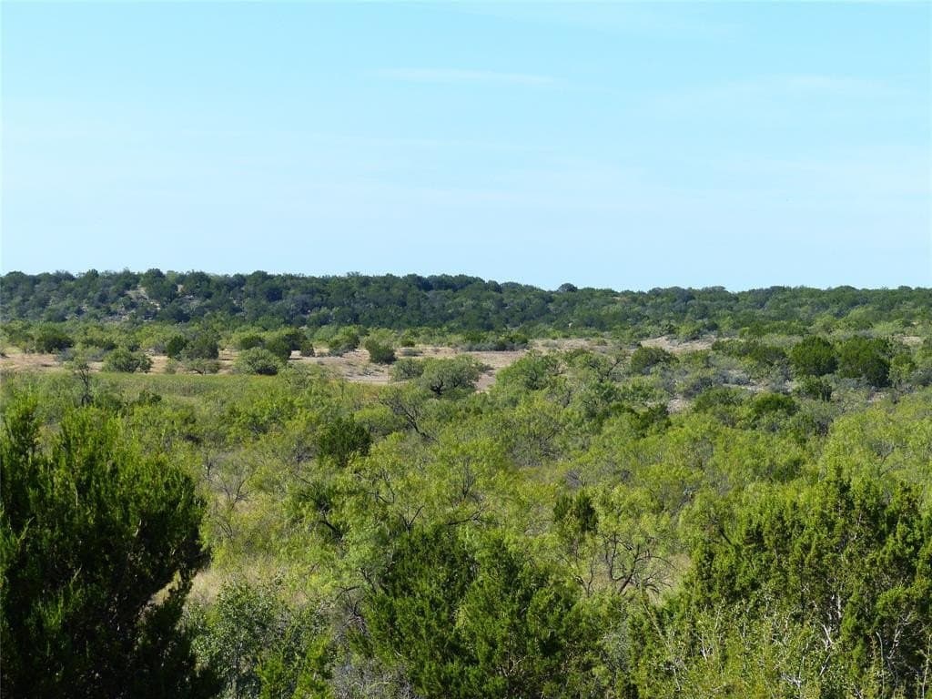 239 acres in Coleman County - photo 16