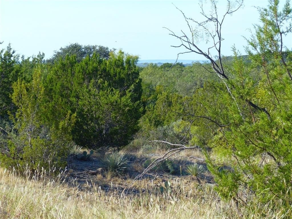 239 acres in Coleman County - photo 13