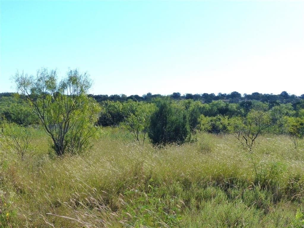 239 acres in Coleman County - photo 12