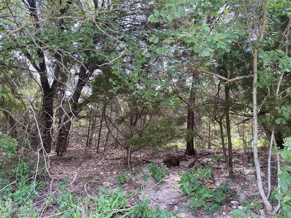 0.87 acres in Bosque County - photo 3