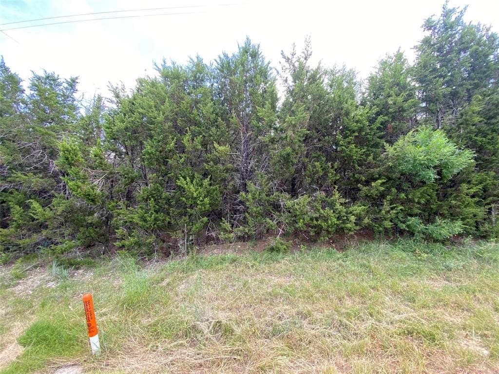0.87 acres in Bosque County - photo 4