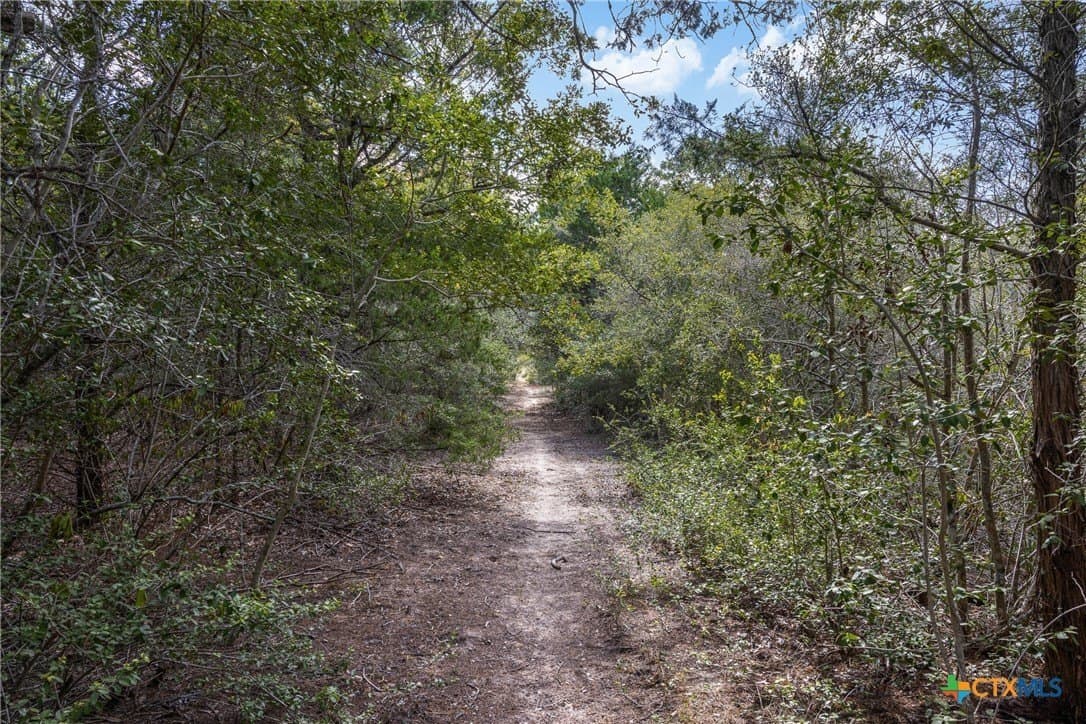 46.23 acres in Caldwell County - photo 28