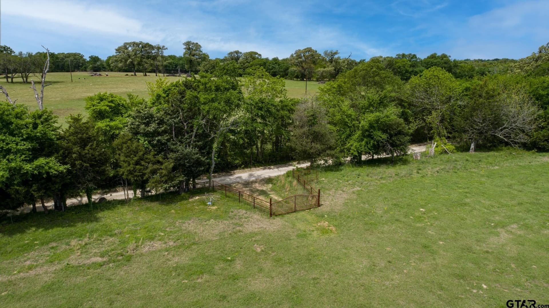 12 acres in Rains County - photo 8