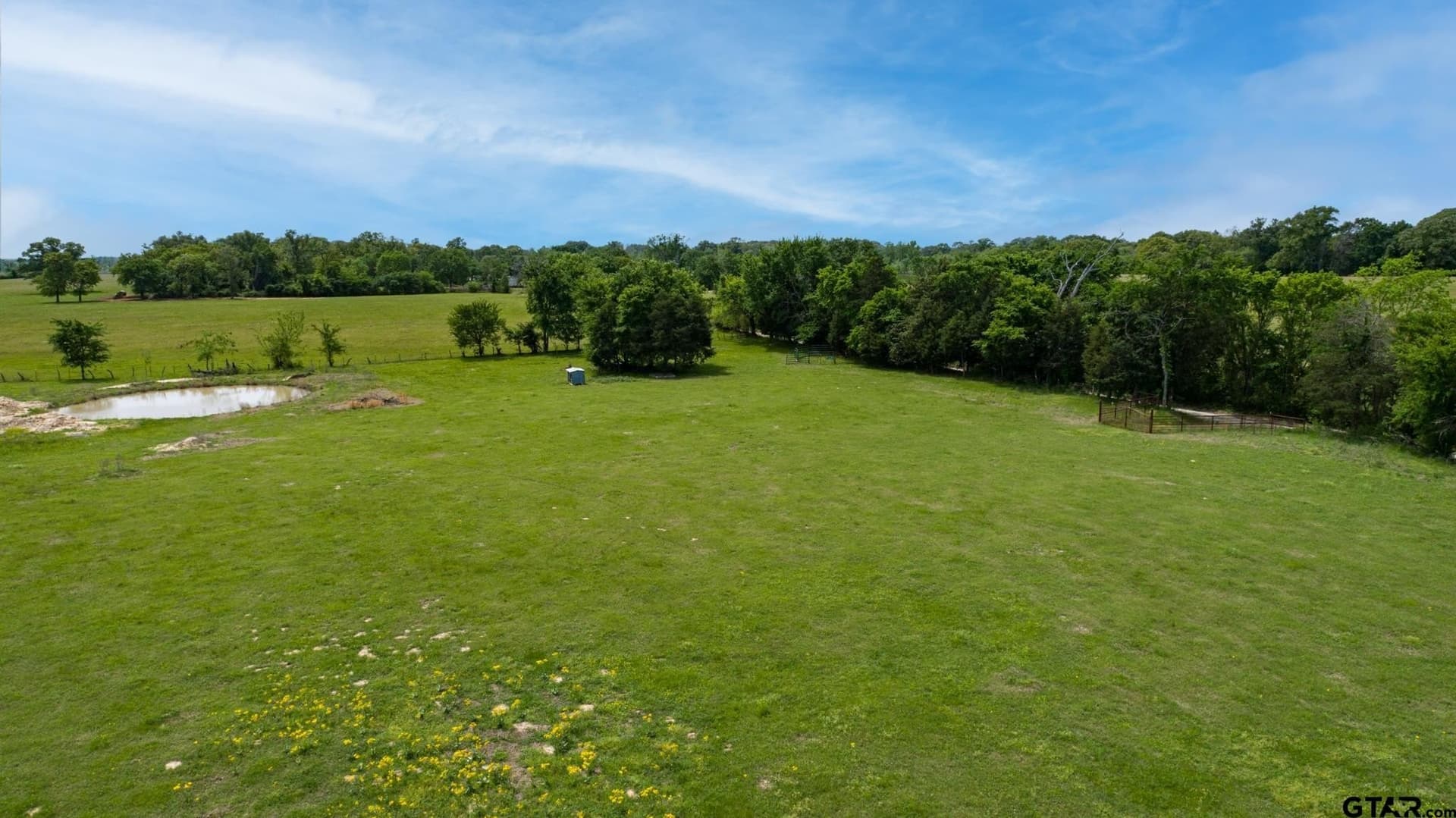 12 acres in Rains County - photo 5