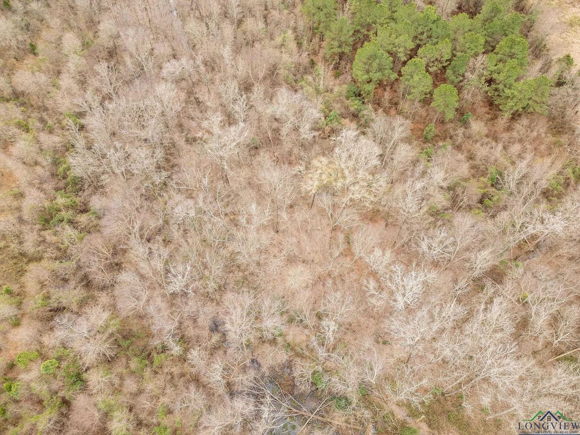 10 acres in Texas County - photo 5