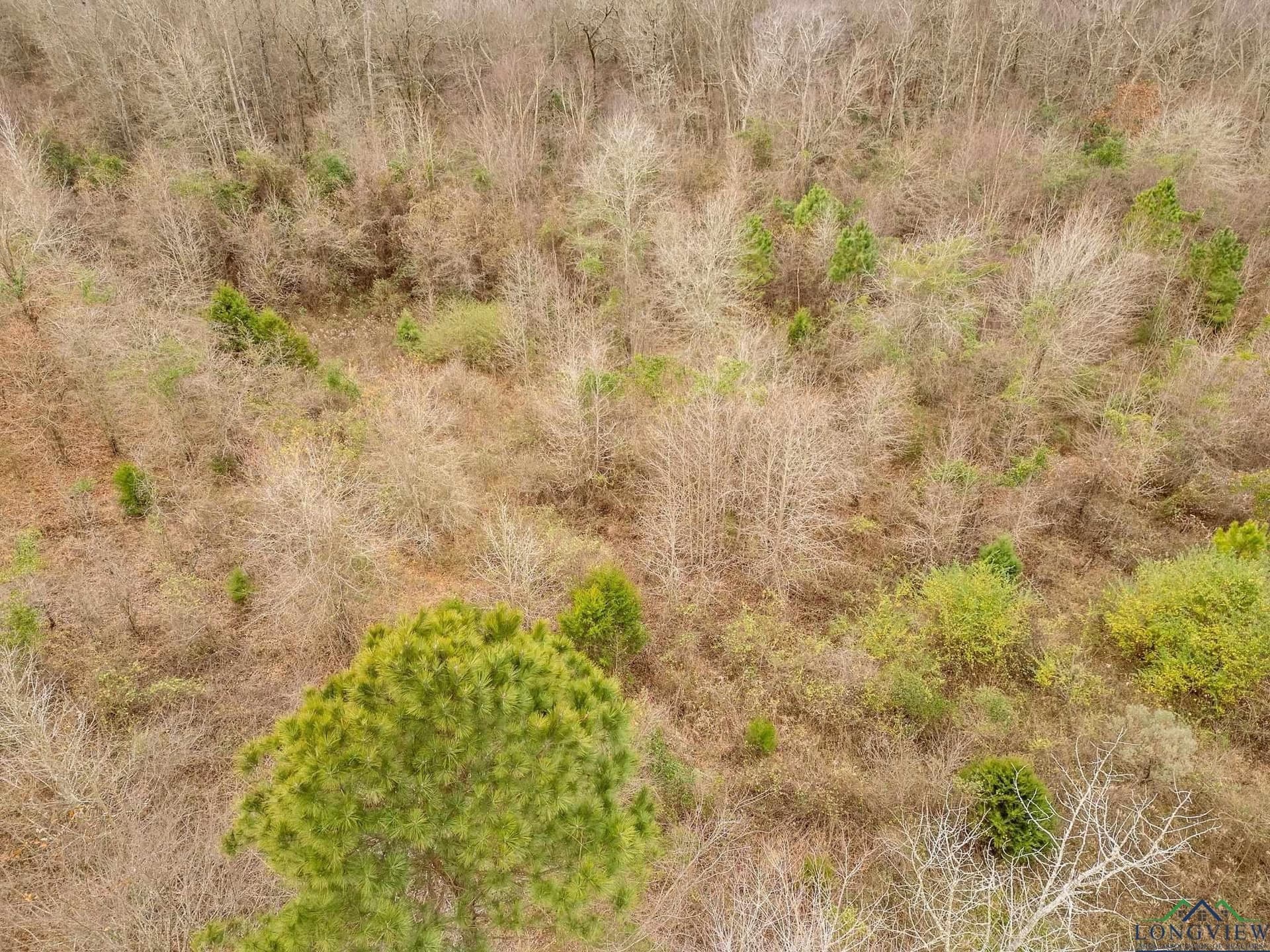 10 acres in Texas County - photo 7