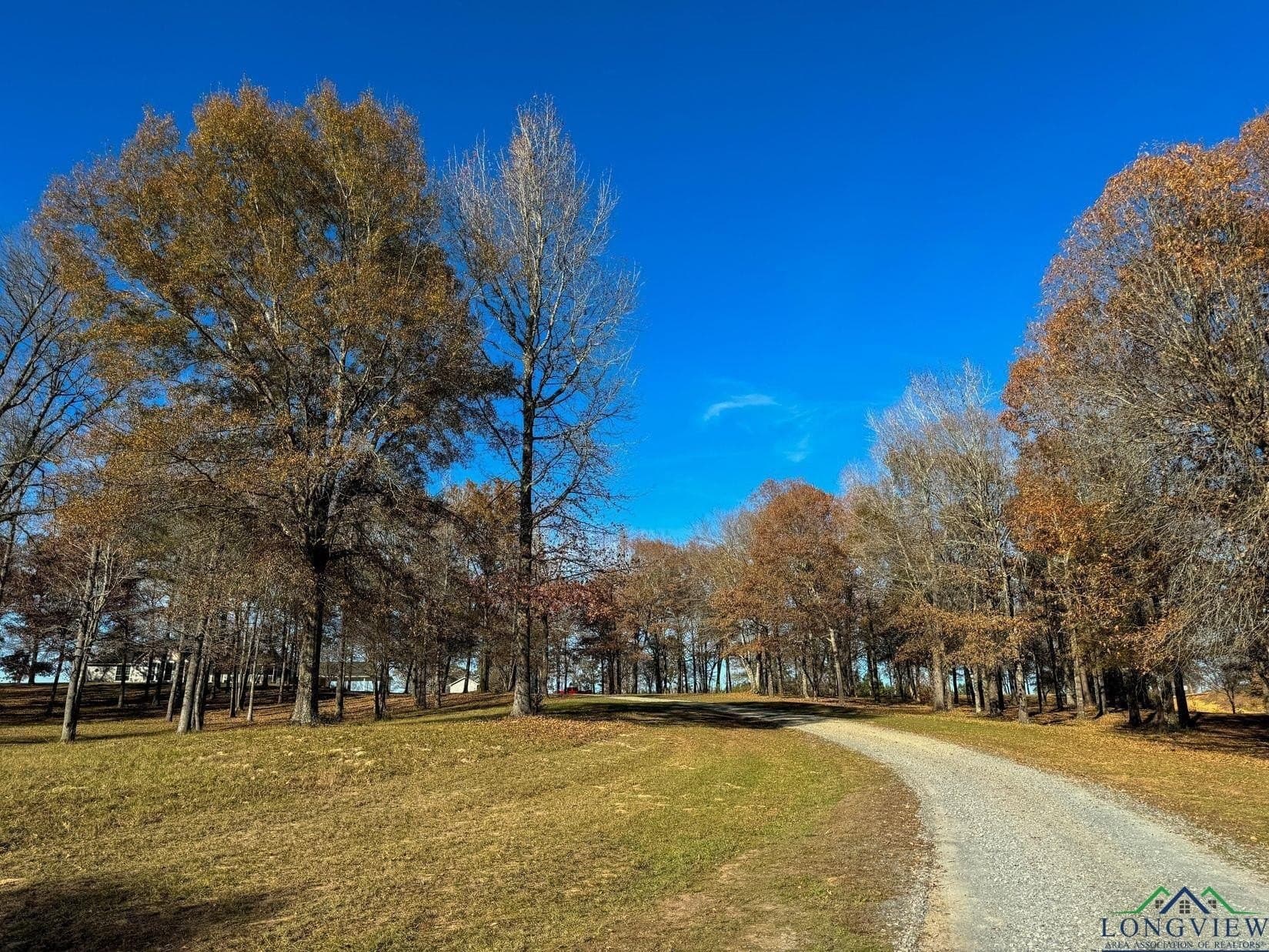 19.94 acres in Cass County - photo 47