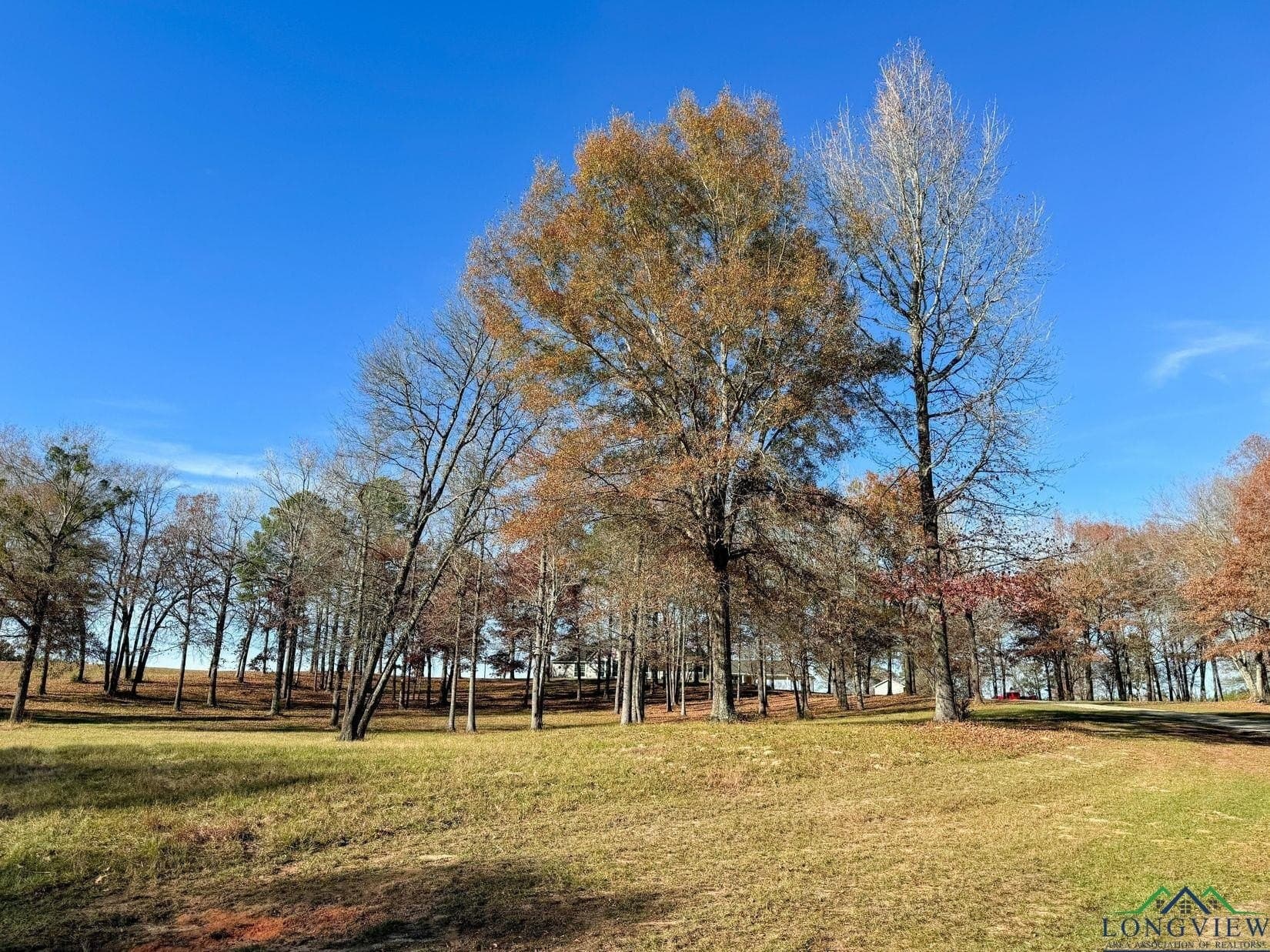 19.94 acres in Cass County - photo 49
