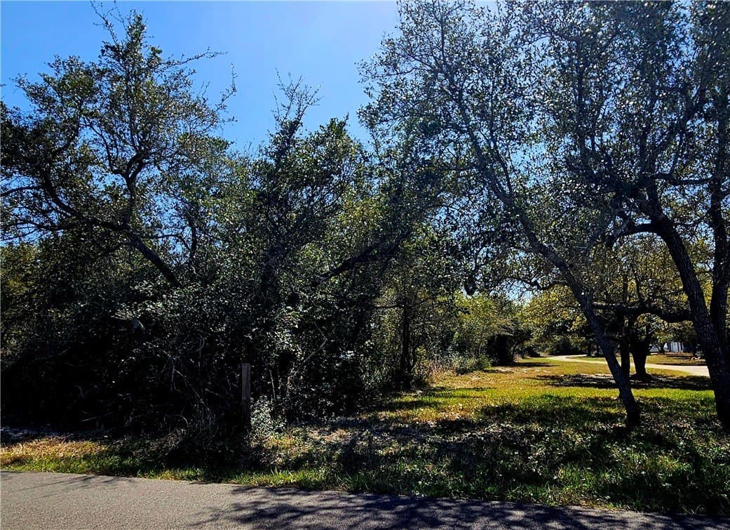 18.99 acres in San Patricio County - photo 4