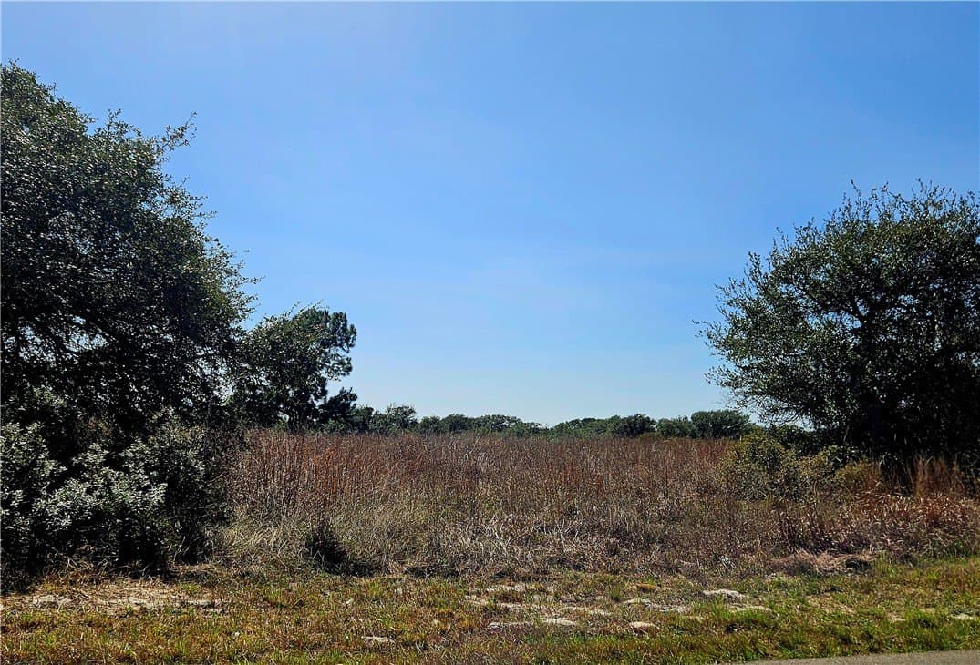 18.99 acres in San Patricio County - photo 15