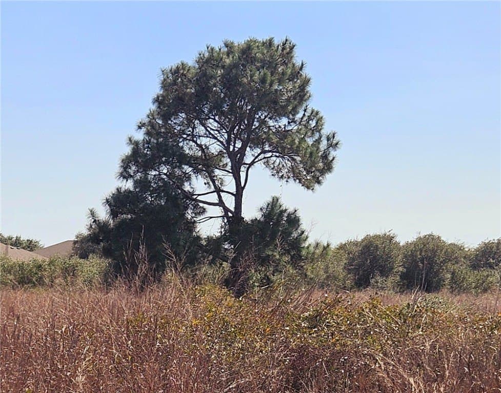 18.99 acres in San Patricio County - photo 7