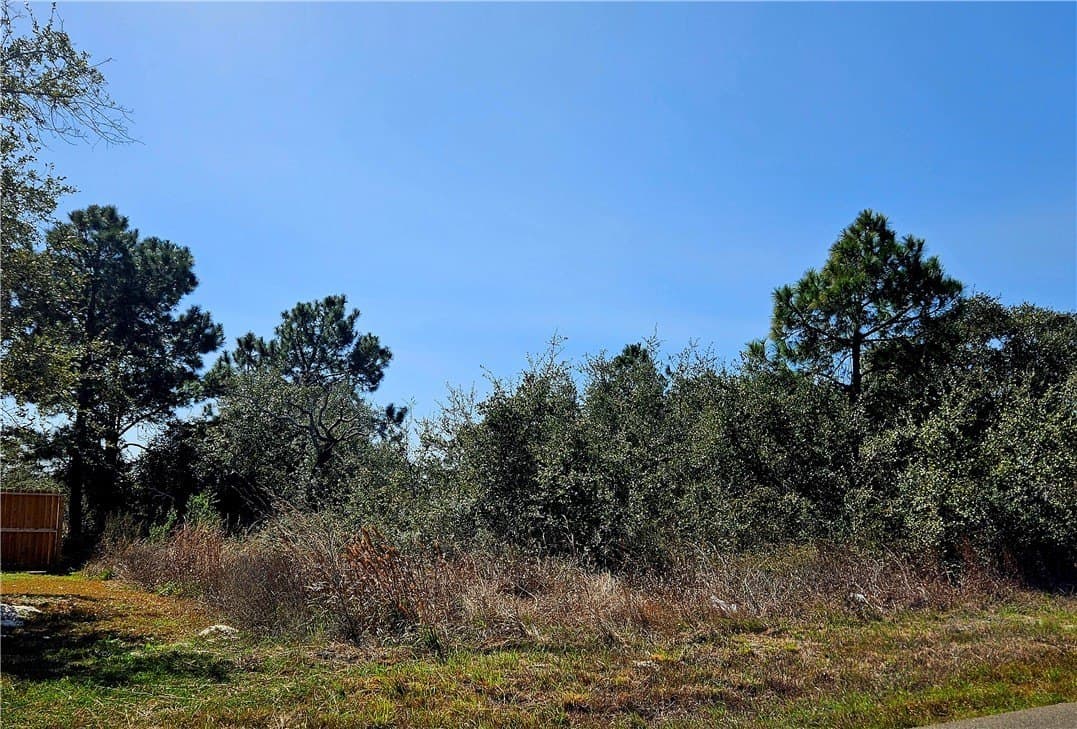 18.99 acres in San Patricio County - photo 6