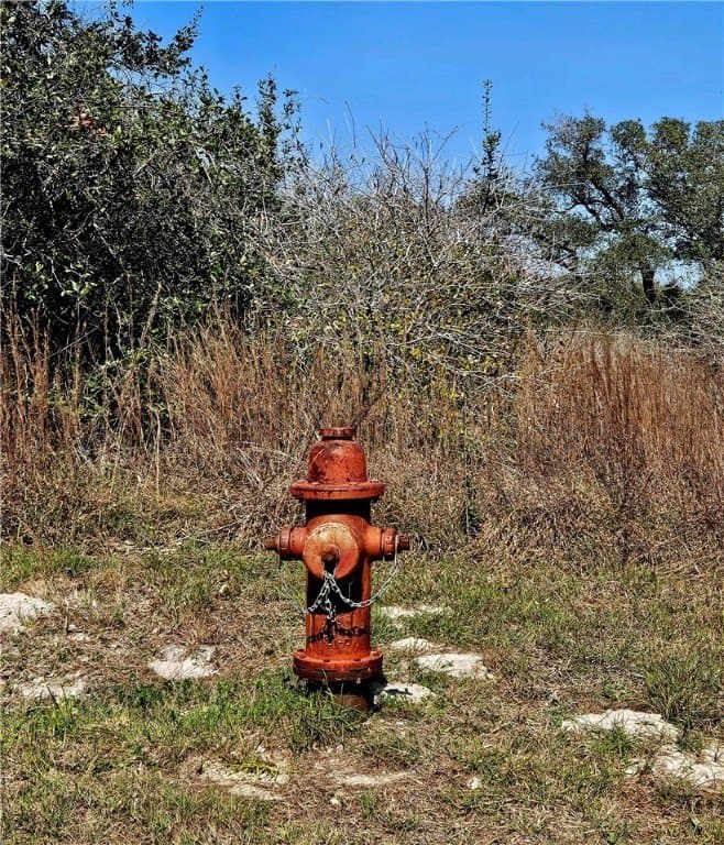 18.99 acres in San Patricio County - photo 14