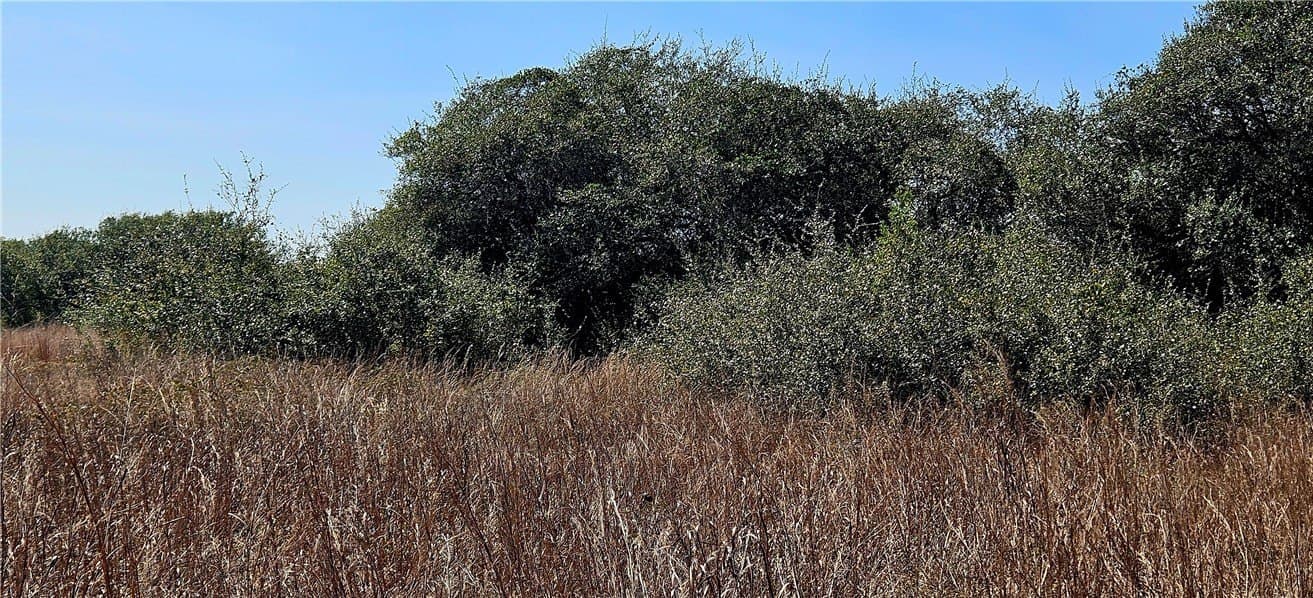 18.99 acres in San Patricio County - photo 3