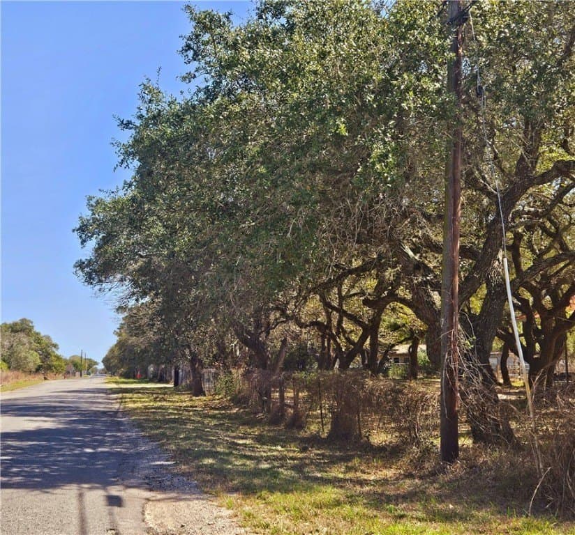 18.99 acres in San Patricio County - photo 2