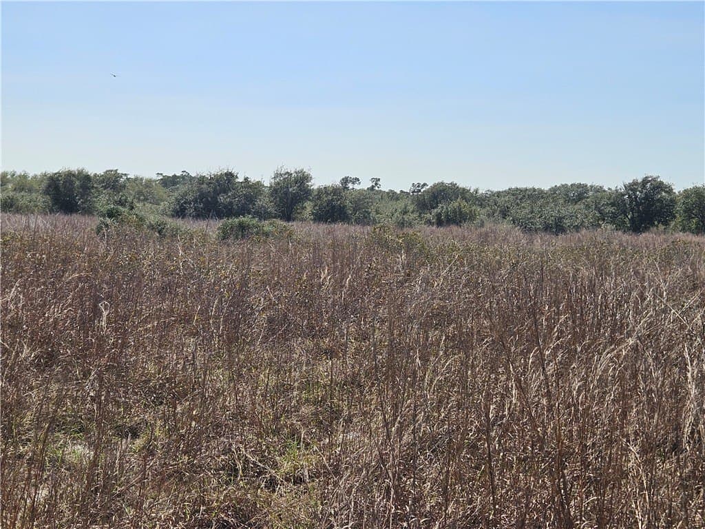 18.99 acres in San Patricio County - photo 5
