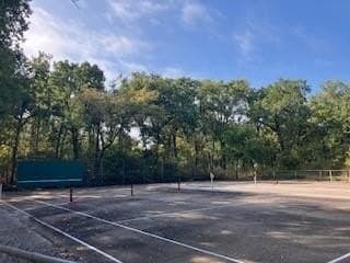 0.12 acres in Henderson County - photo 17