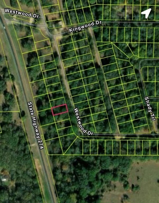 0.12 acres in Henderson County - photo 8