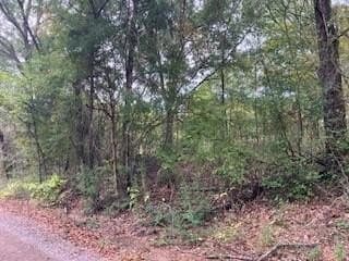 0.12 acres in Henderson County - photo 3