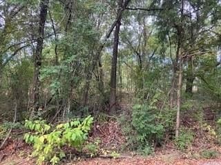 0.12 acres in Henderson County - photo 5