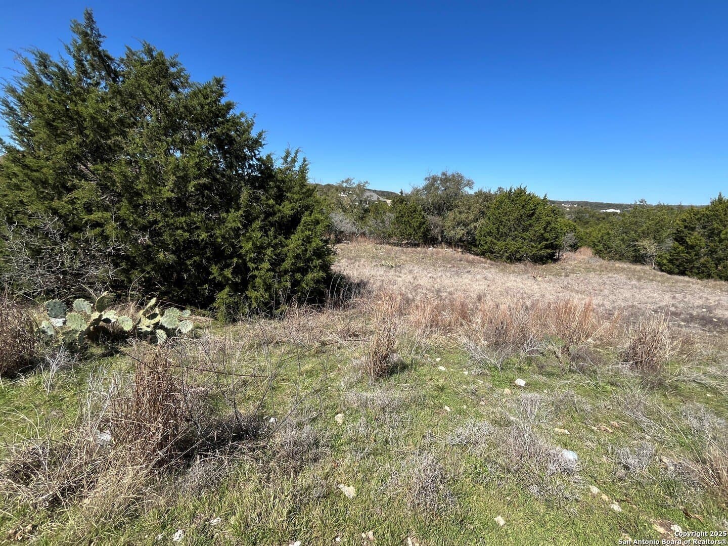 1.43 acres in Comal County - photo 7