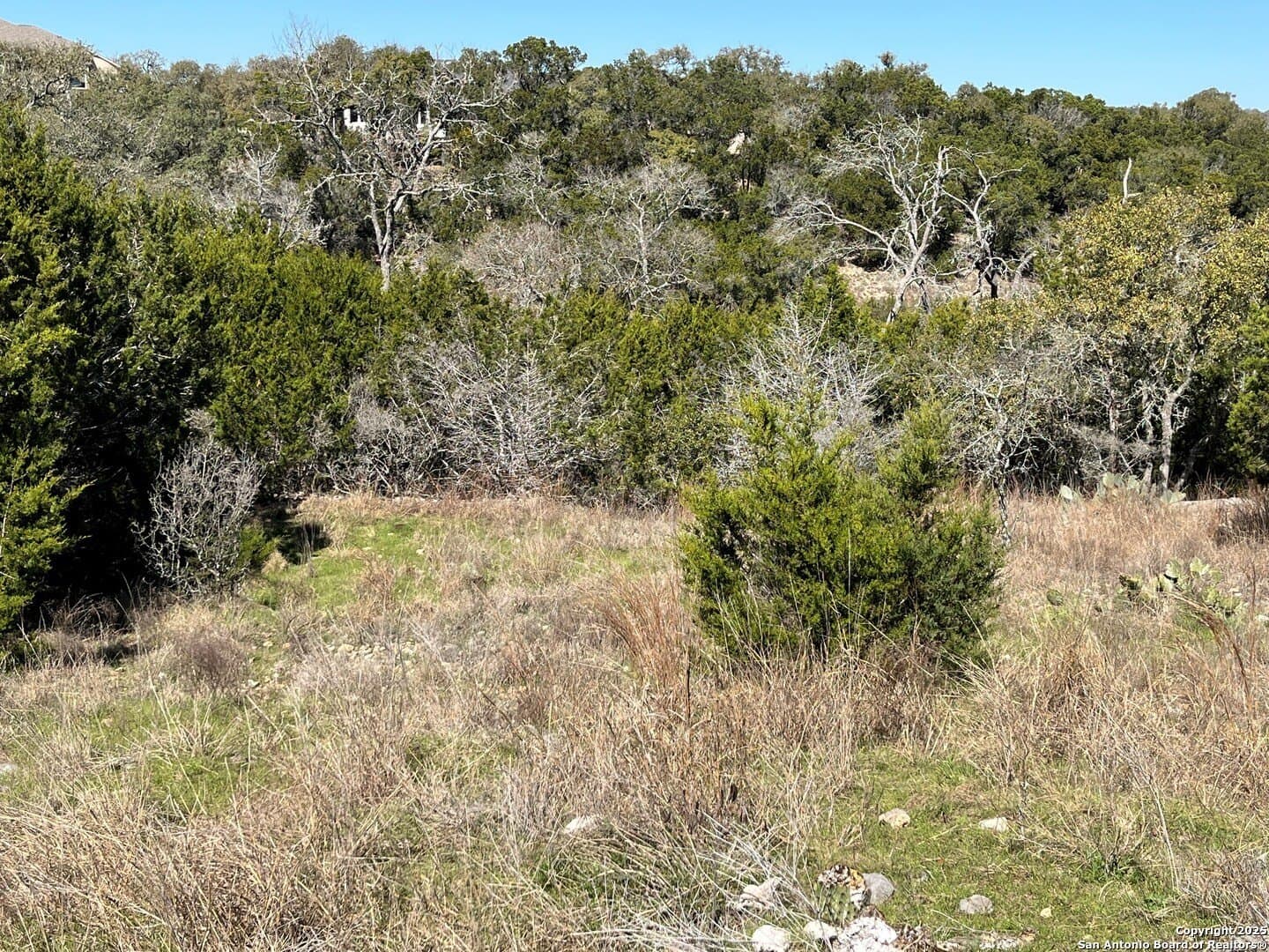 1.43 acres in Comal County - photo 5