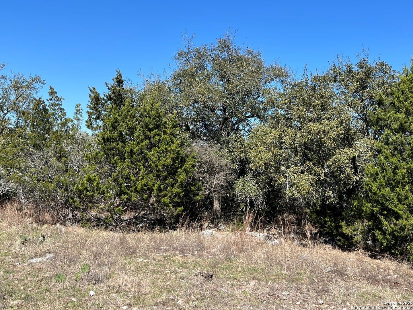 1.43 acres in Comal County - photo 6