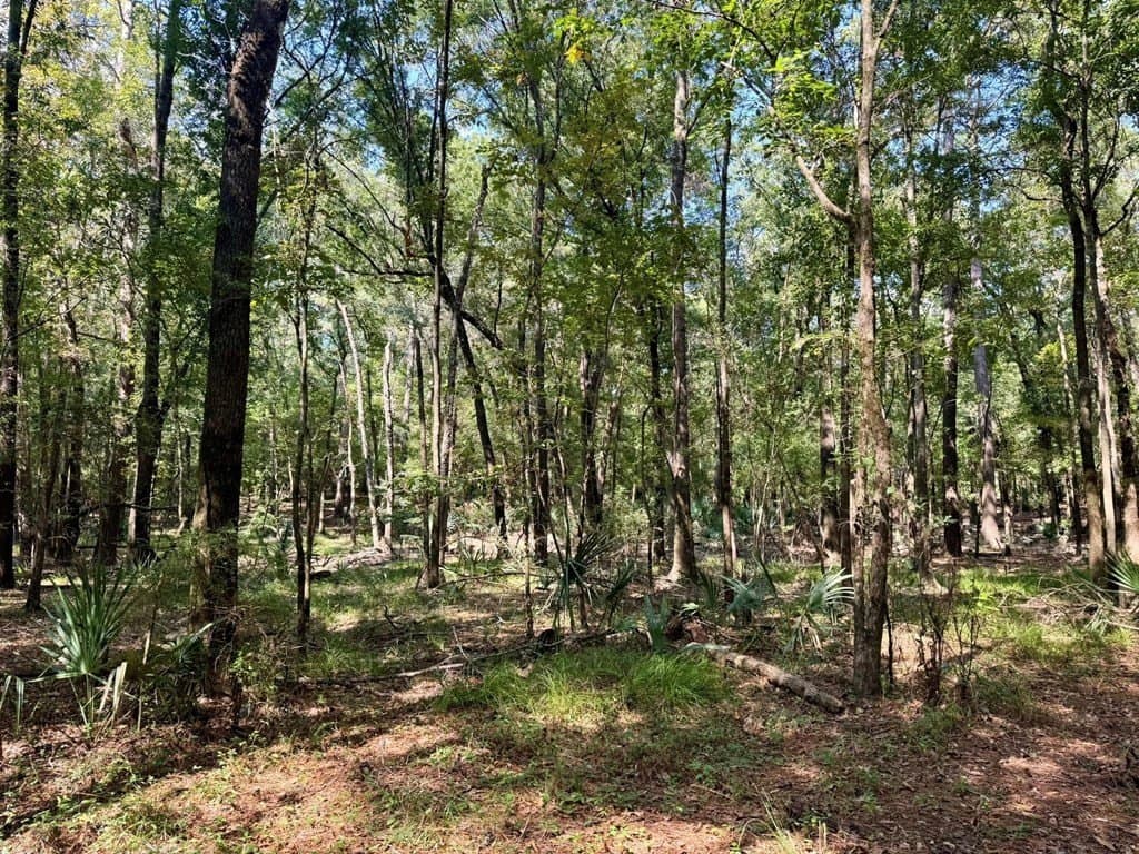 27.47 acres in Texas County - photo 15