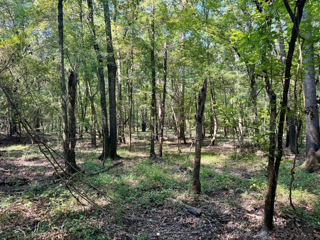 27.47 acres in Texas County - photo 10