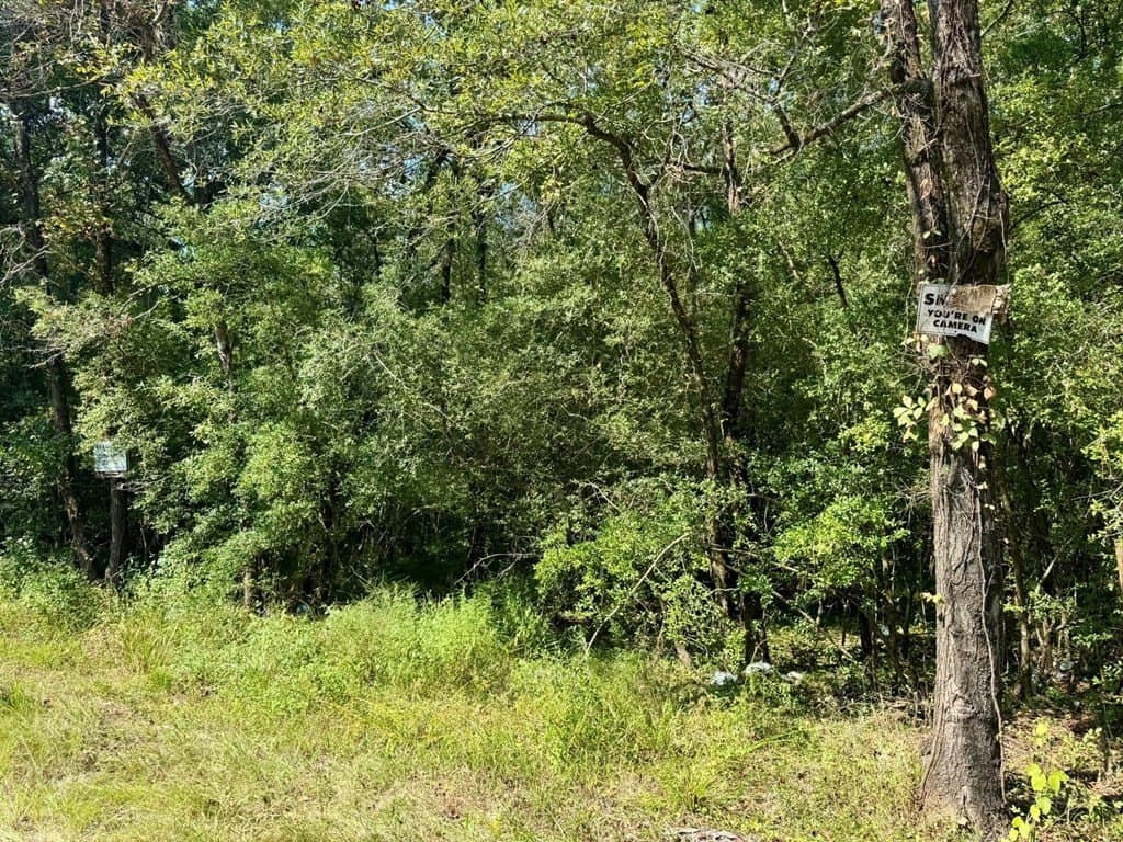 27.47 acres in Texas County - photo 3