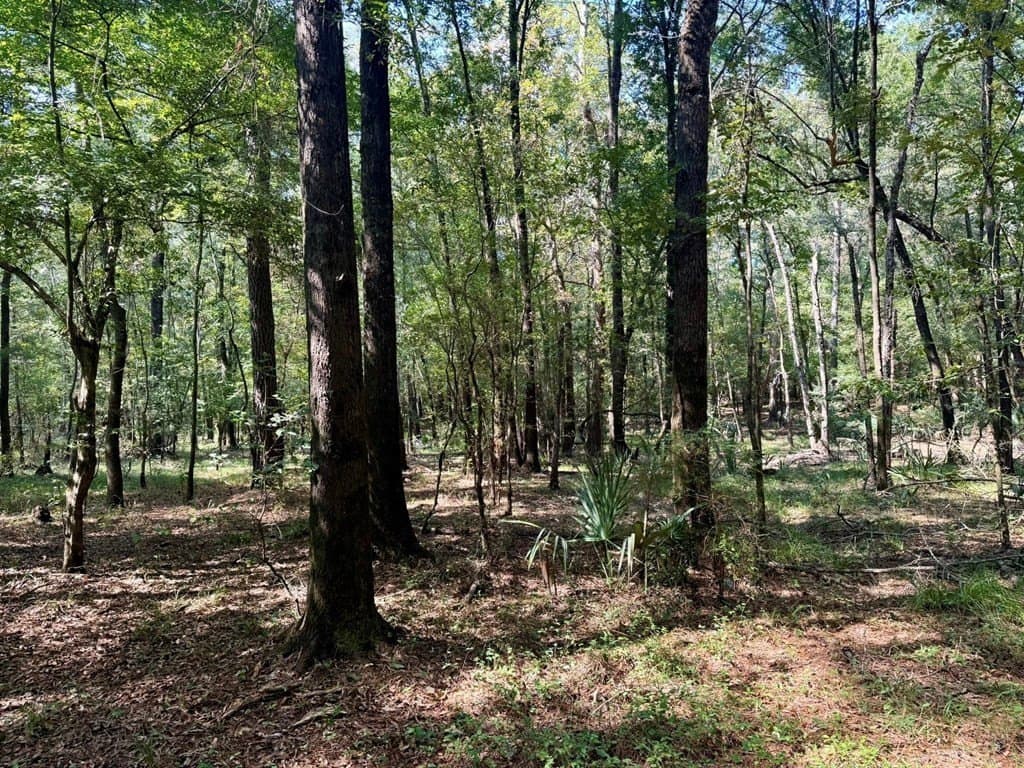 27.47 acres in Texas County - photo 16