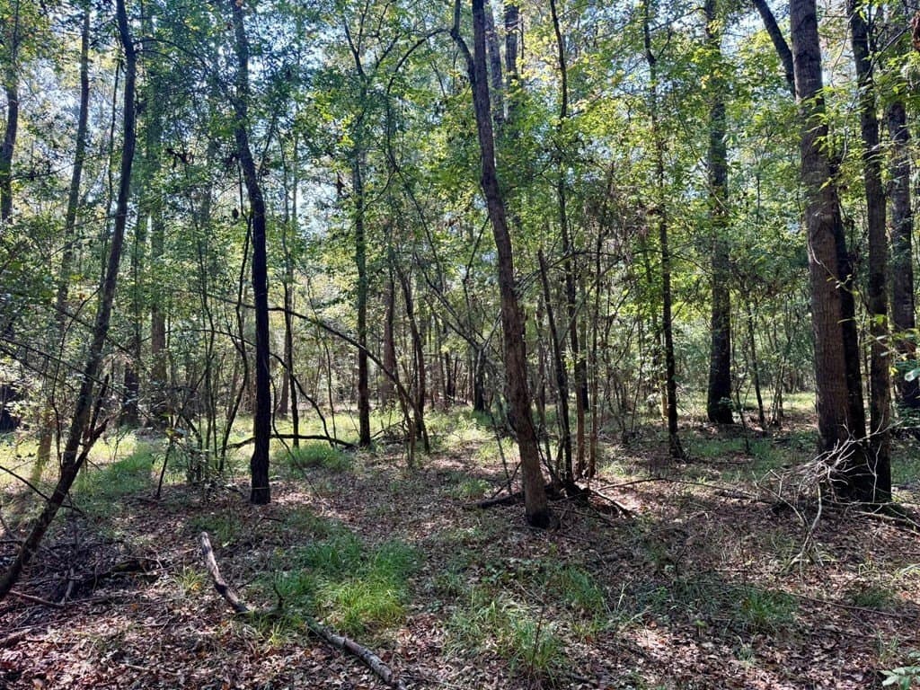 27.47 acres in Texas County - photo 8